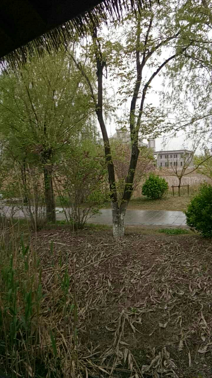 开发区生态公园