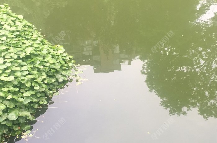 固陵路玲珑府小区旁河边