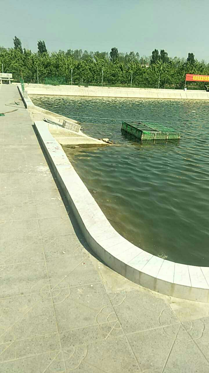 平乡西庄垂钓园