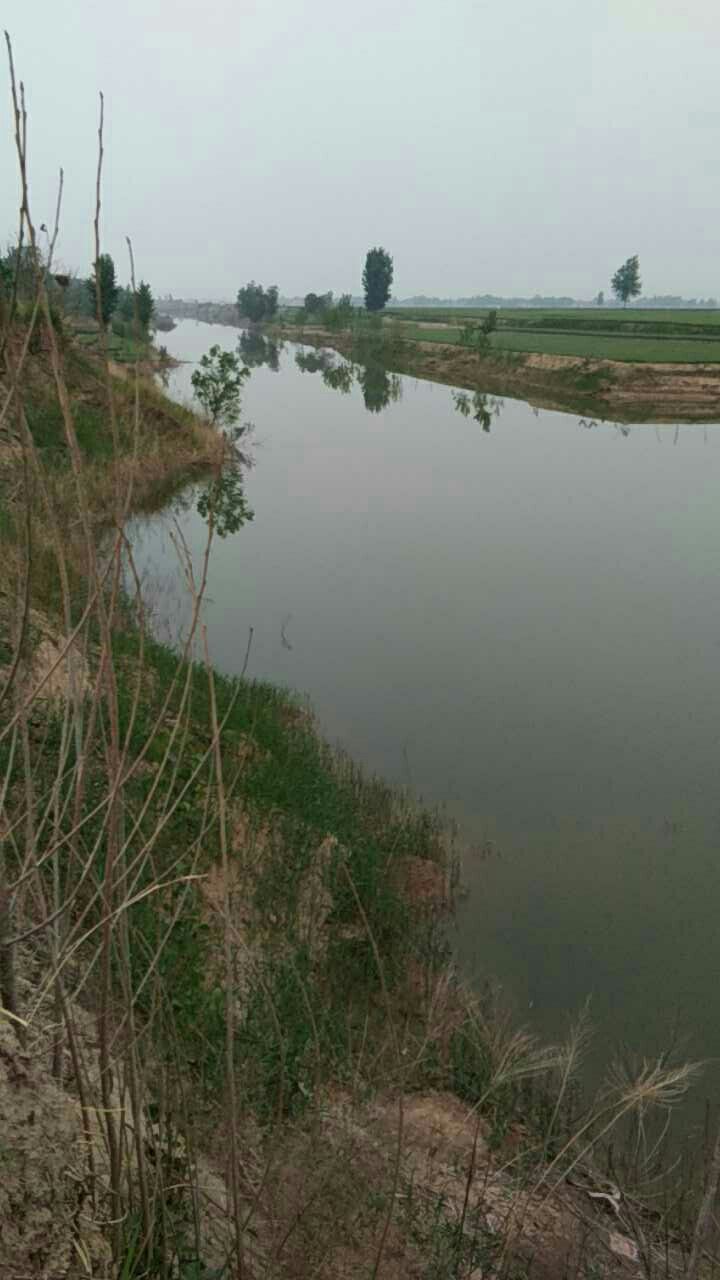 漳河道万堤村西