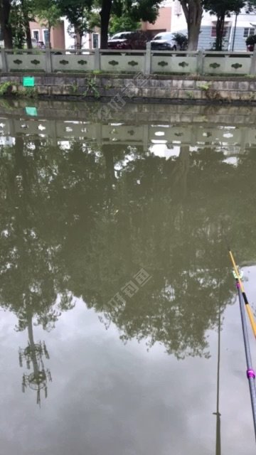 天宫庄园小区内河道