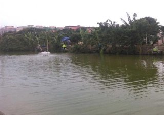 漫茉莉生态农场