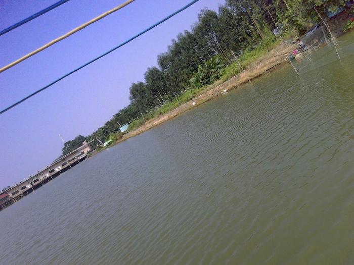 海岸水上庄园钓鱼场