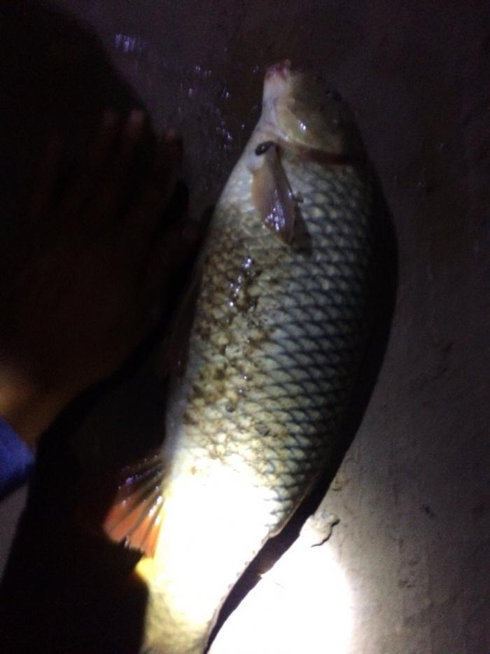 再回首垂钓基地