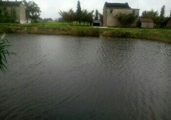 农家钓场钓鱼场