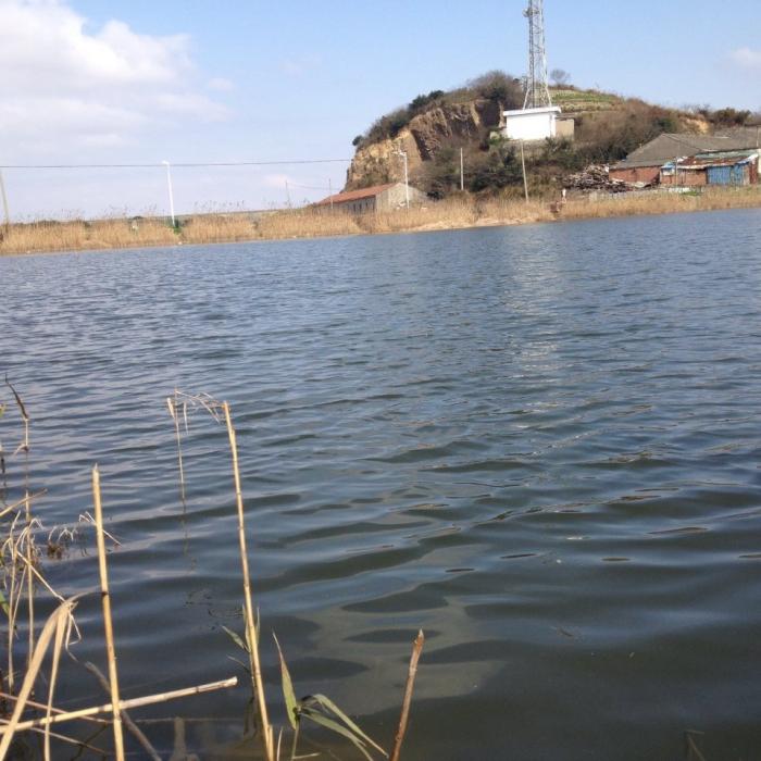 蚂蚁岛平地水库