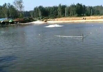 张唐马聚龙滩垂钓园