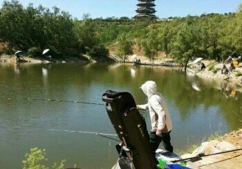 凤屏山百树美垂钓园