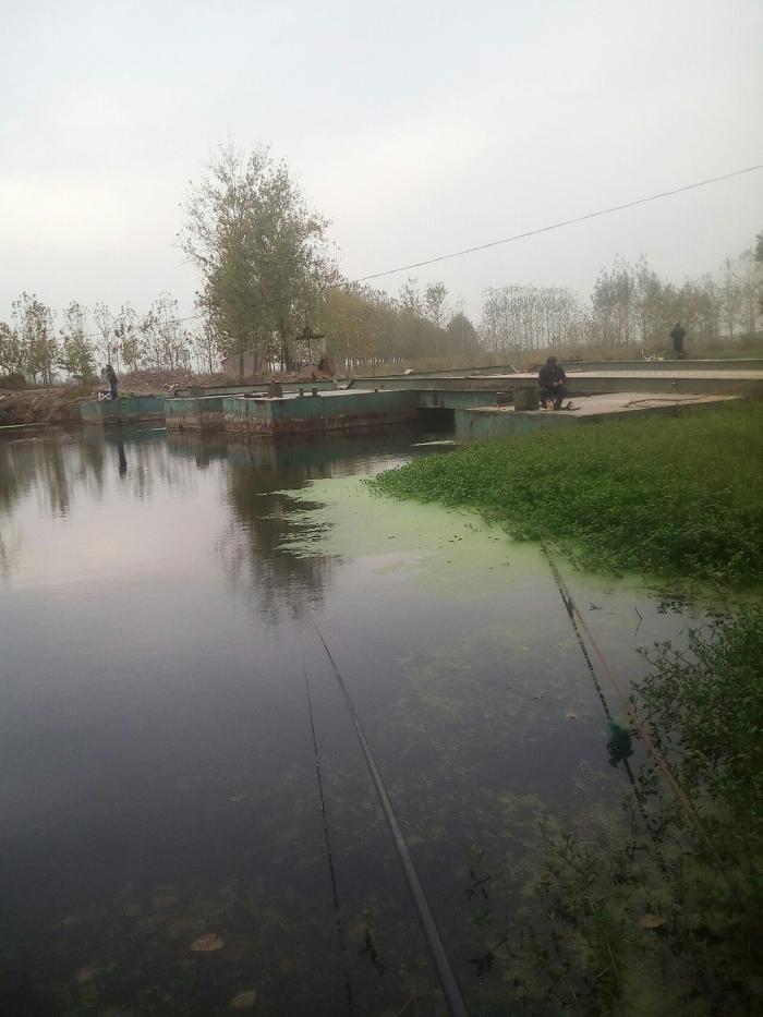 沛县顺堤河三座楼浮桥