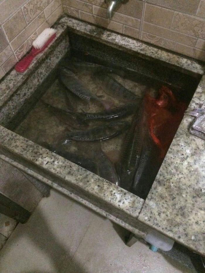 下山头休闲垂钓基地