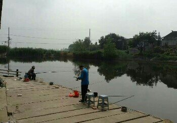老港湾钓场