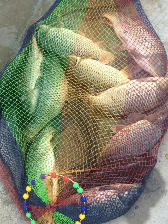 龙峪泉山庄垂钓中心