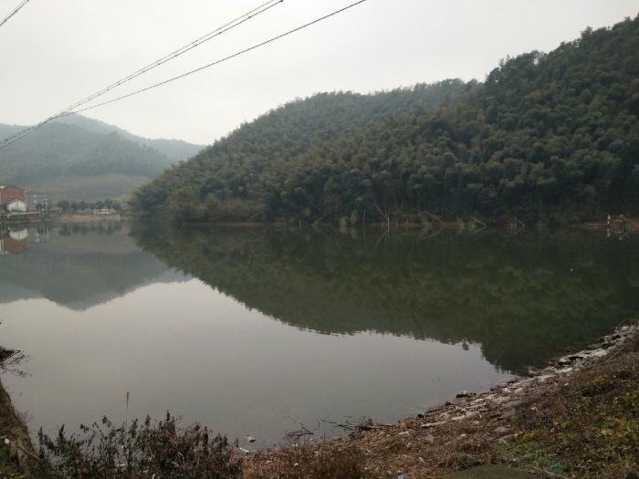 东松水库野生鱼钓场