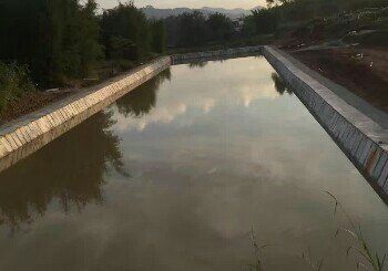 沙坪垂钓游乐园