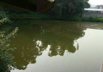 马坝矮石垂钓场