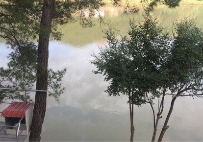 翔梅服务区钓场