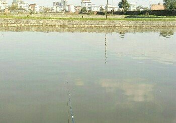 马家桥鱼场