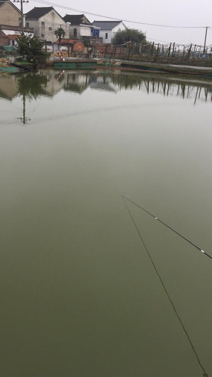 西陆家宅基鱼塘