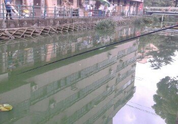 宝钢四村生态河