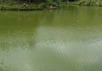 三都猴场烂田湾