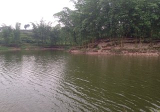 盐井滩大桥钓场