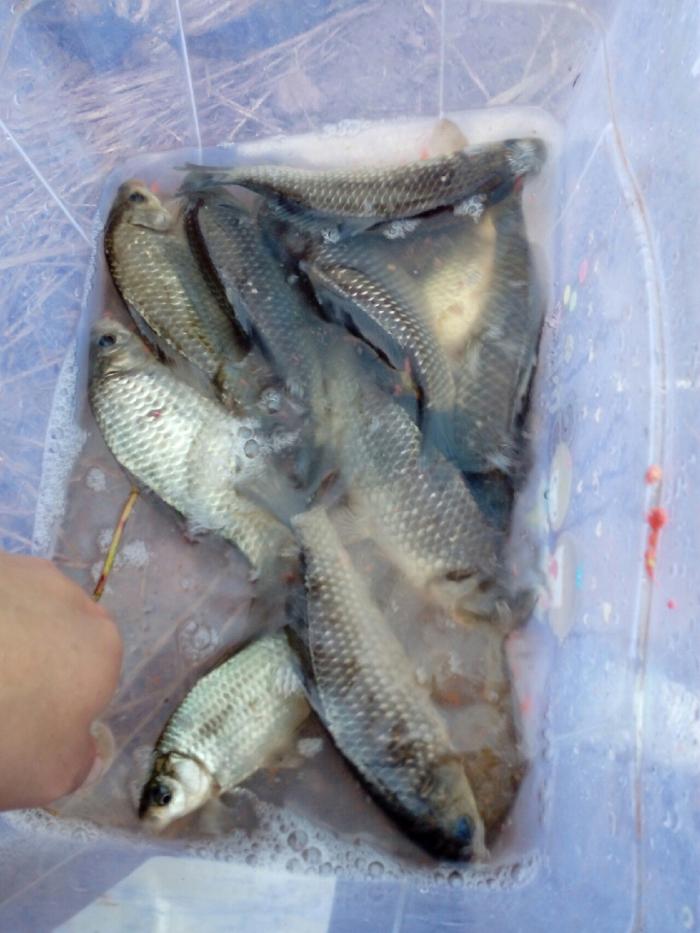 文峰安乐坝水库