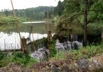 凤凰山泉钓鱼场