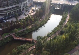 谢家河湿地公园