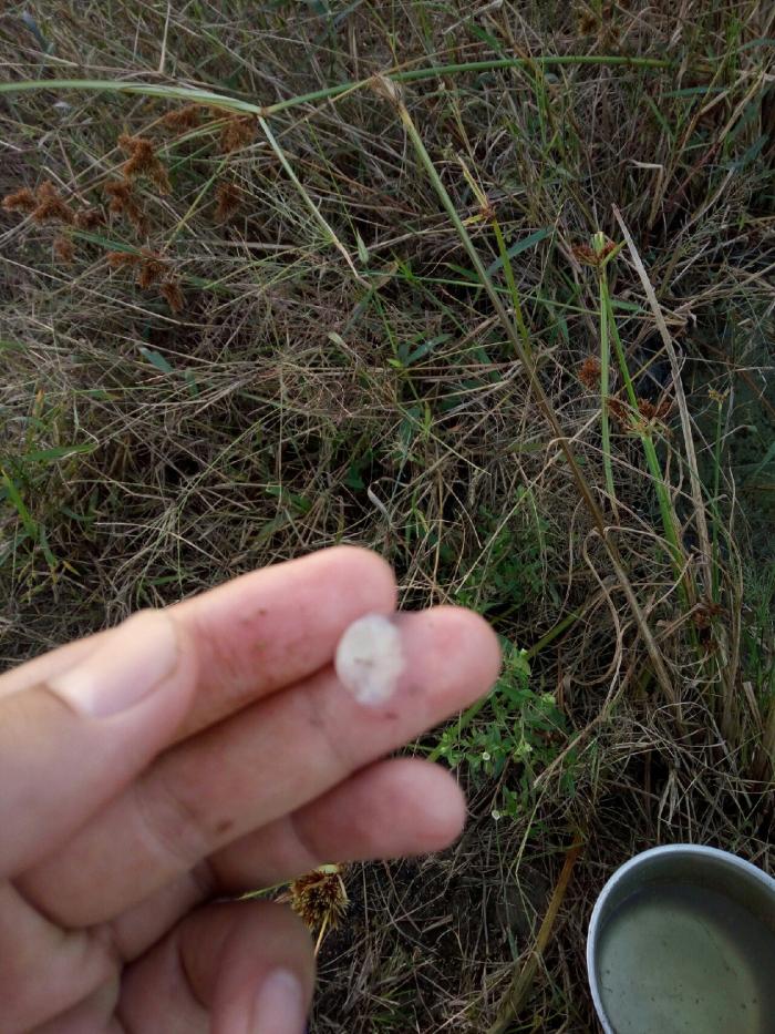 河口老缪休闲垂钓