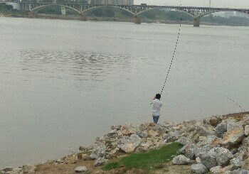 中兴大桥天然钓场