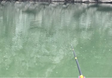 康县阳坝龙神沟