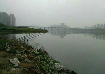 大渡河大桥钓场