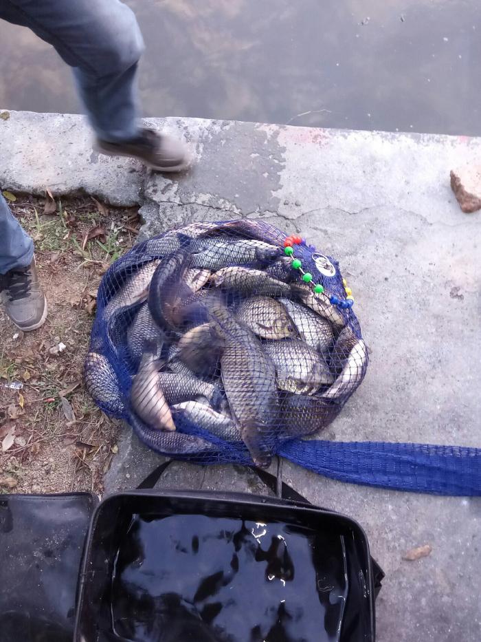 彭山钓鱼岛鱼乐池