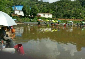 小麦冲果园鱼塘