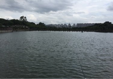 碧桂园十里银滩