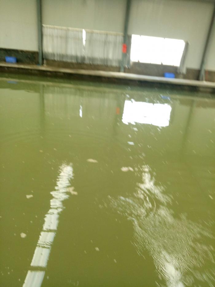 英粮17号垂钓俱乐部