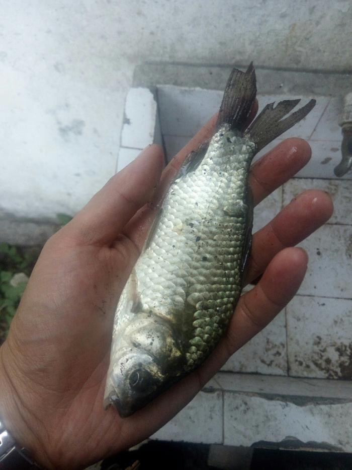 龙纹休闲垂钓中心