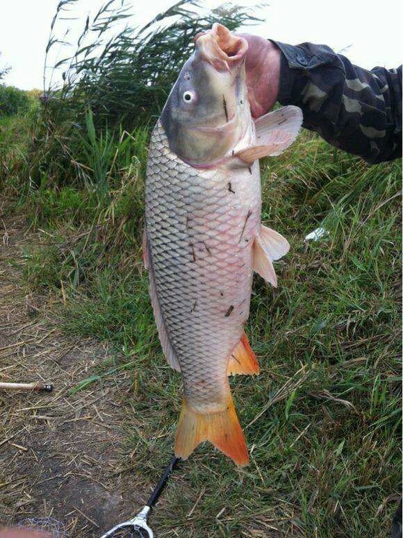 李坳三板桥小河