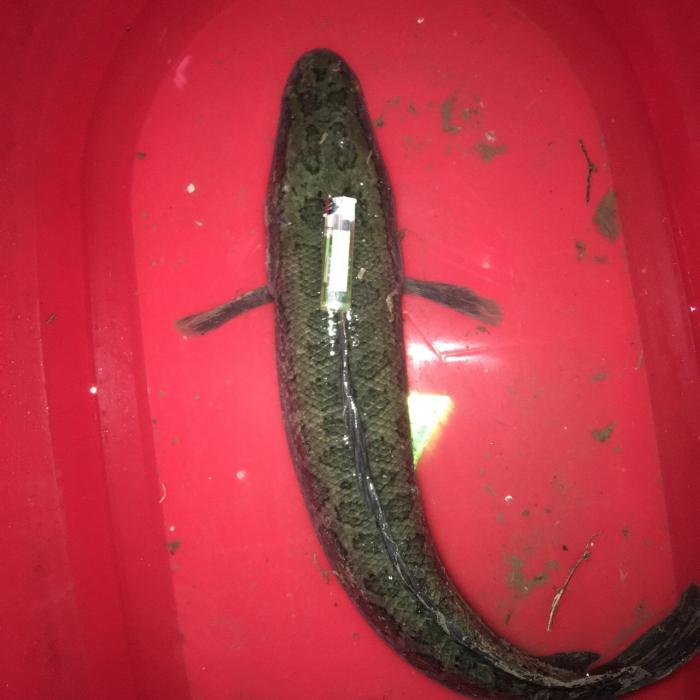 竹青垂钓休闲中心