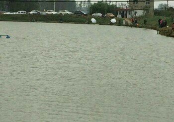 翔宇渔具垂钓中心