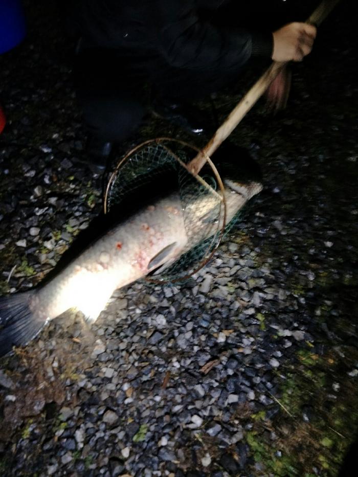 化龙太湖畈垂钓中心