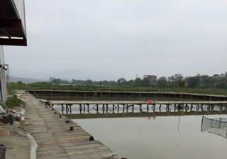 自由人杉塘钓鱼台