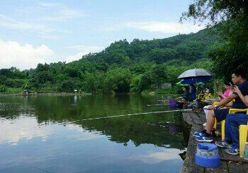黄陂生态钓场