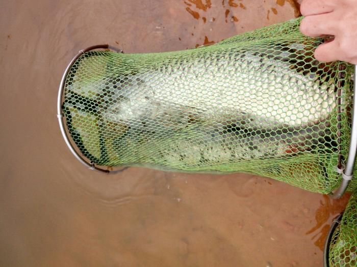 南村熊猫钓鱼场