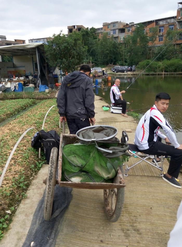 大侠塘垂钓乐园