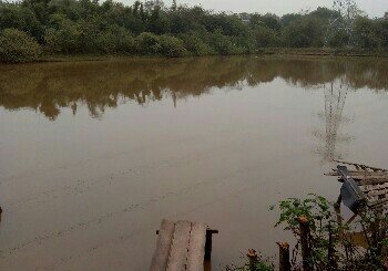 金塘村垂钓中心