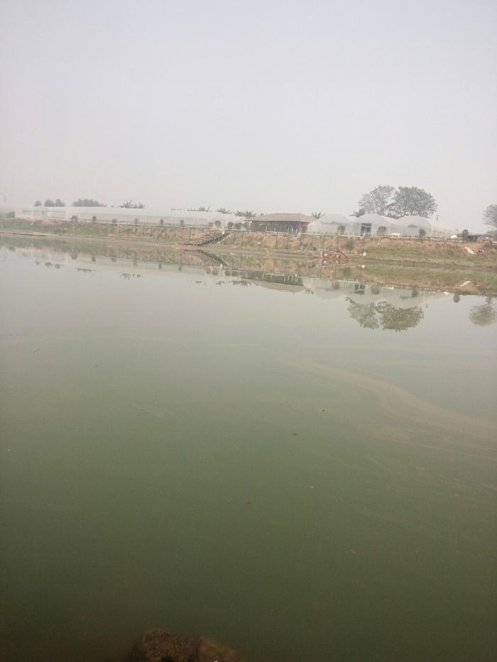 颐景园江边钓点