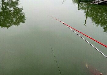 空津酒厂垂钓园