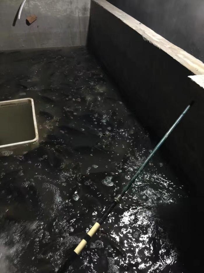 袁毛激情垂钓园