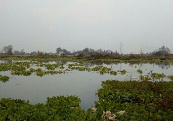 射水河观鱼河坝